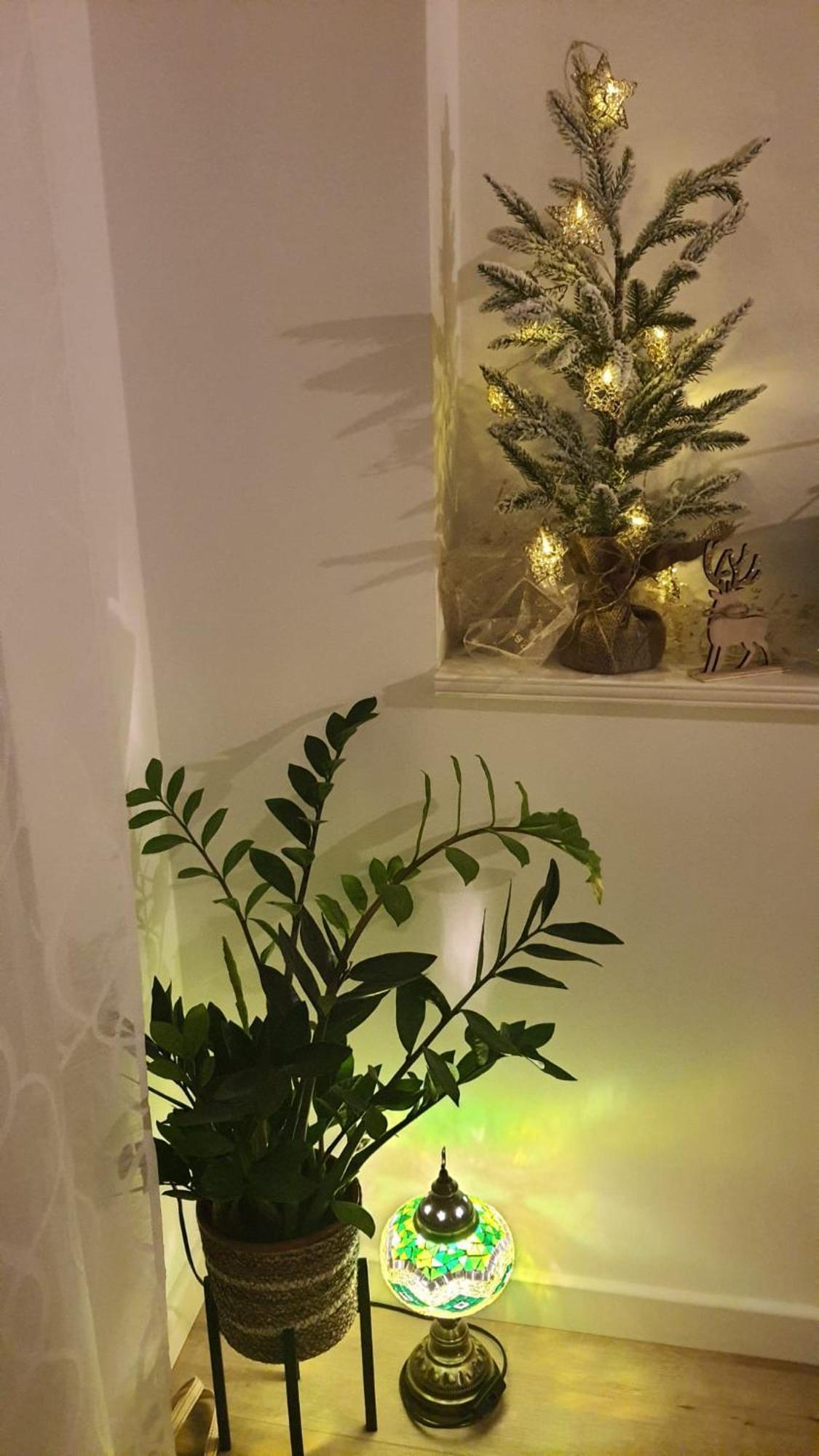 Apartman Lili Split Luaran gambar