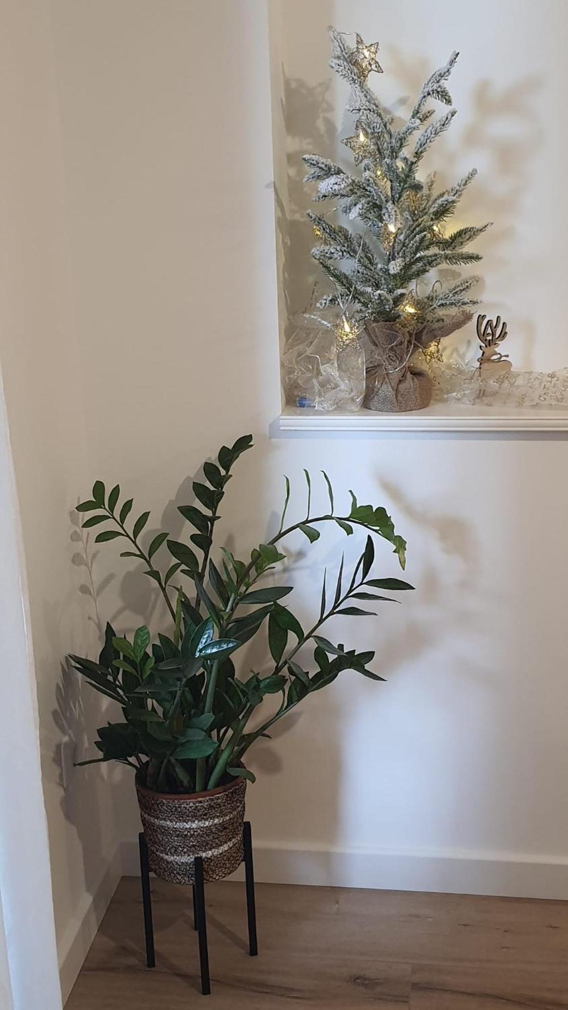Apartman Lili Split Luaran gambar